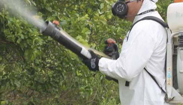 fumigar