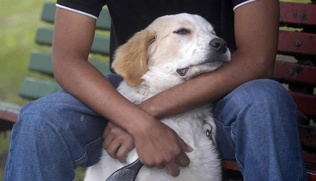 mascota-perro