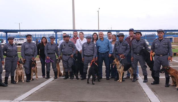 perros