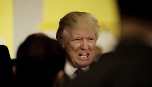trump11