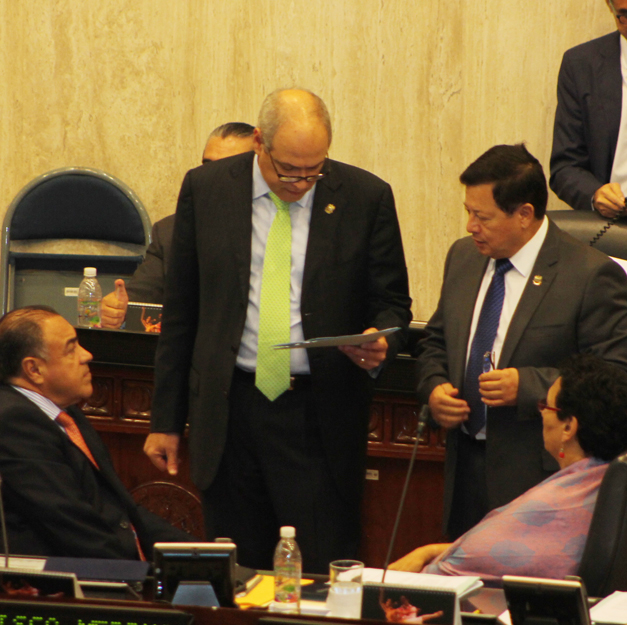 directiva-asamblea