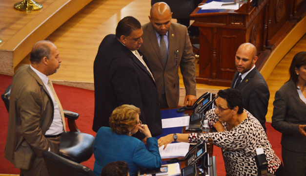 lorena-pena-diputados-arena