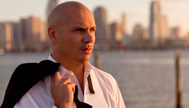 pitbull