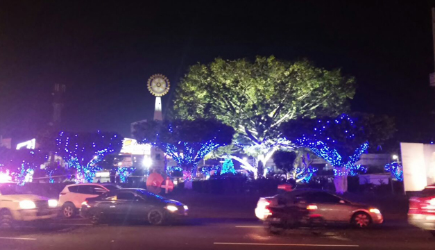 arbol-santatecla