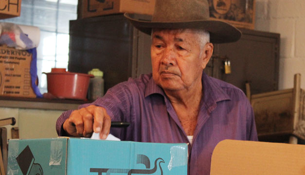 elecciones-voto