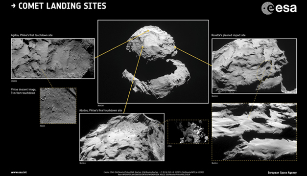rosetta