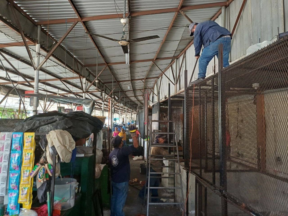 Trabajadores de la Alcaldía de San Salvador Centro llegaron a desmontar los puestos. / Jessica Guzmán.