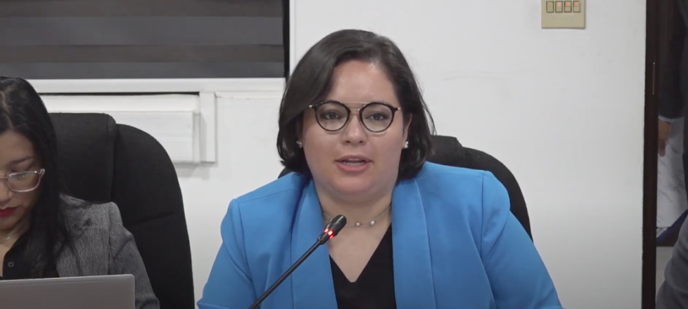 La Comisión de Infraestructura y Desarrollo Territorial aún no emitió dictamen favorable de la Ley de la Dirección de Mercados Nacionales. / Asamblea.
