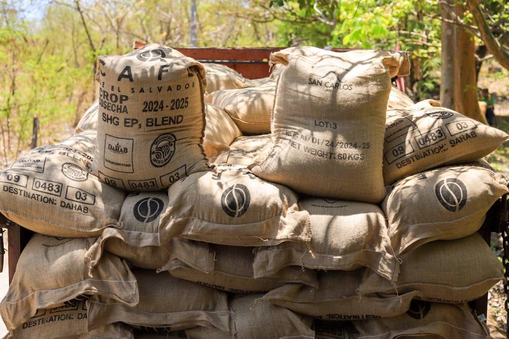 El primer despacho incluye 1,000 quintales de café, valorados en $350 cada unidad. /ISC