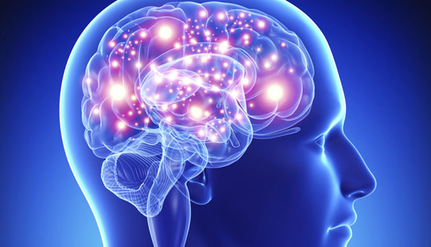 Cerebro
