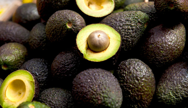 aguacate
