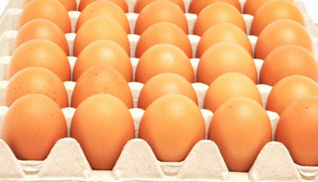 huevos