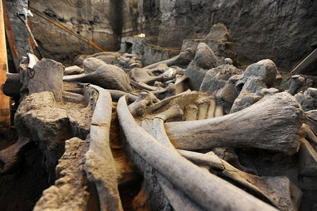 Osamenta-de-Mamut