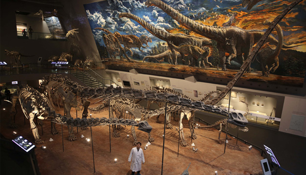 museo en china-xinhua