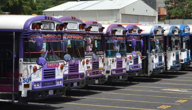 BUSES