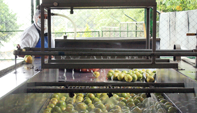 Productora-de-jugos