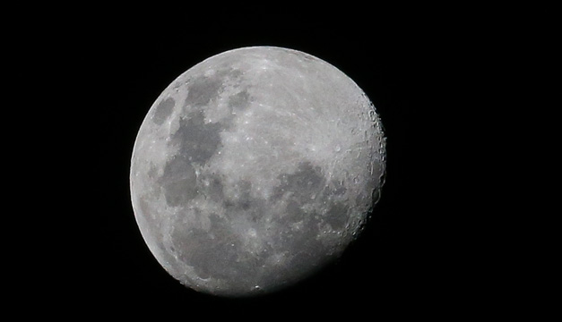 luna-efe