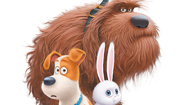mascotas