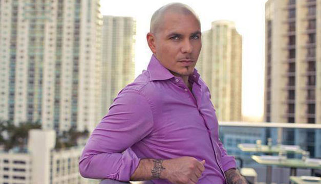 pitbull