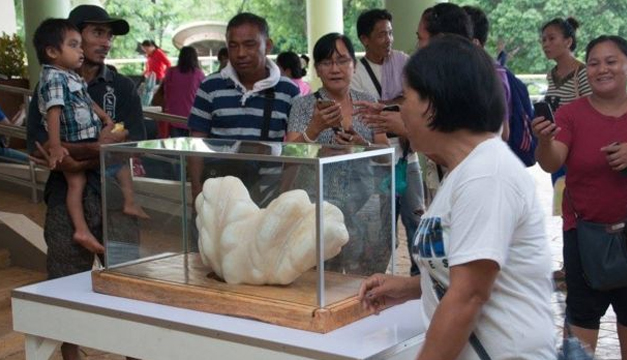 Tomada de: Gobierno de Puerto Princesa.