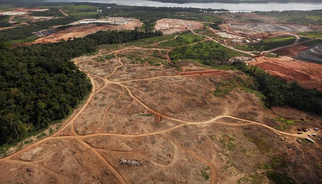 deforestacion1