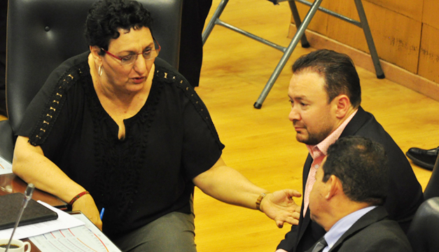 directiva-asamblea