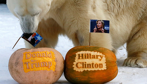 oso-polar-trump