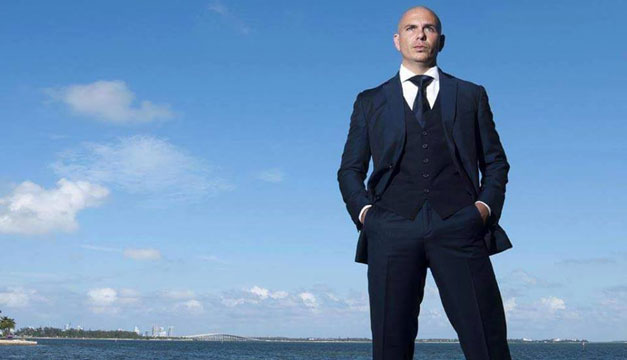 pitbull
