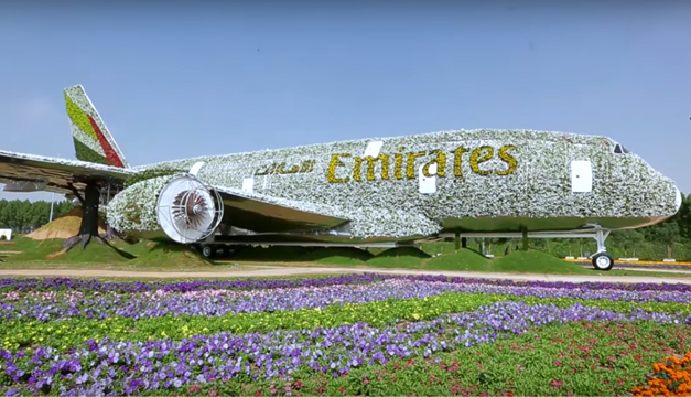 emirantes-floral