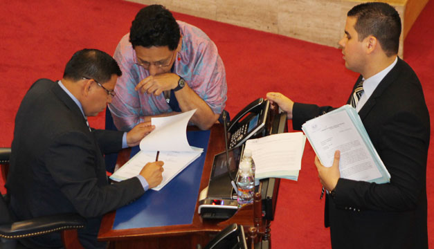 fmln-gana