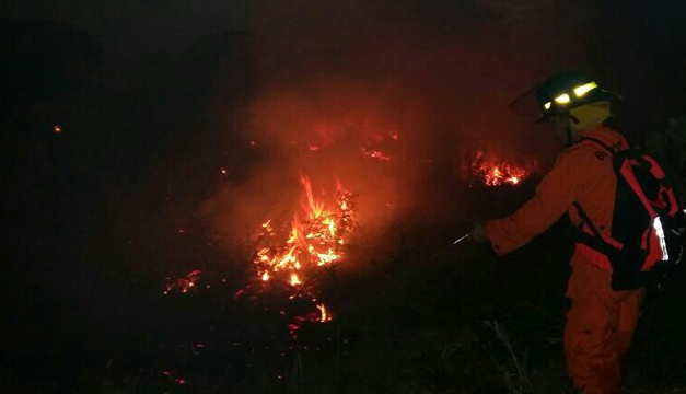 incendio-forestal
