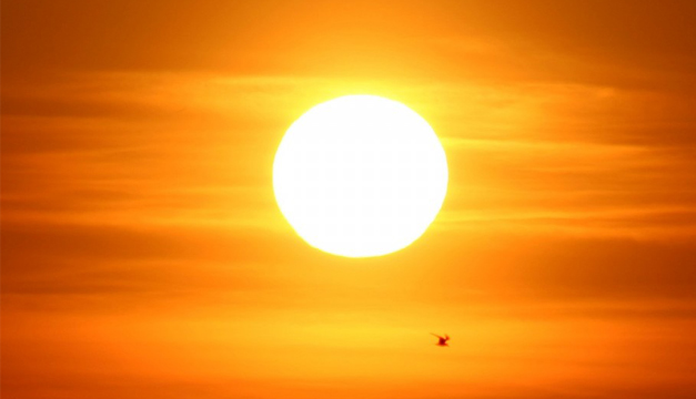 sol